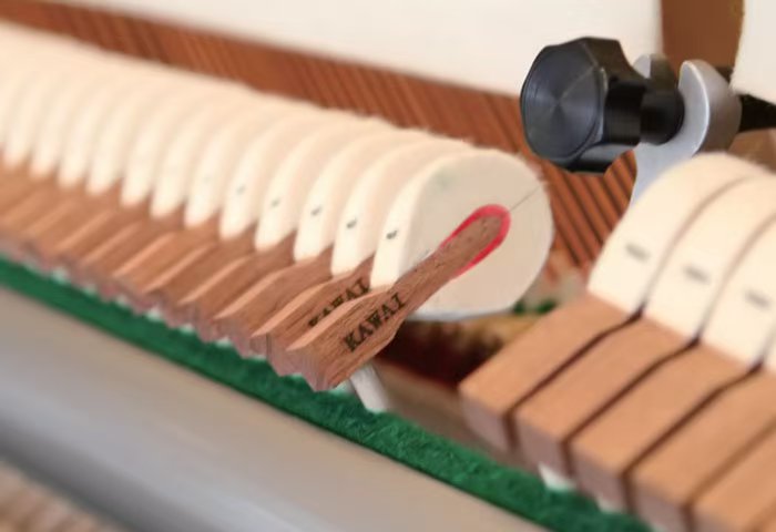 1728870425191594.jpg 7fd55ba45a5e6ac5eb21f2f59c965ae.jpg